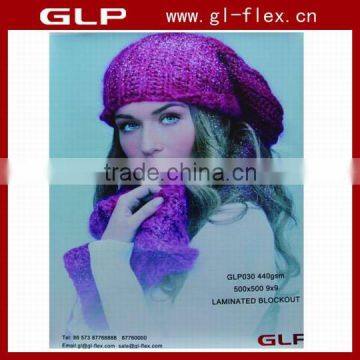Laminated Frotlit Black Back 13oz 440gsm 500*500 9*9 GLP030 photo-3