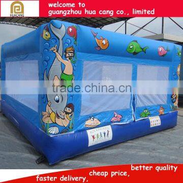 2016 China Wonderful Funny Jumping Bouncer House photo-2