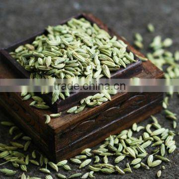 Fennel Seeds