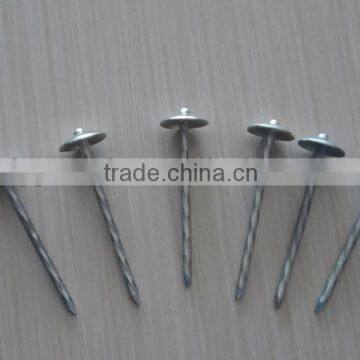 spiral galvanized steel nails ,nail for steel roofing sheet