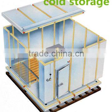 Walk in Freezer Room for Milk photo-3