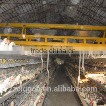 poultry farm design in broiler with light steel structure frame