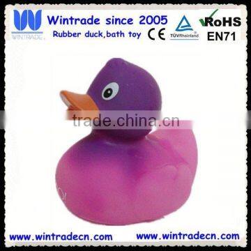 New rubber duck/color changing duck