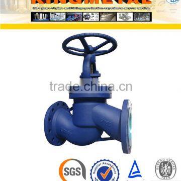DIN Cast Iron Globe Valve PN16 photo-3