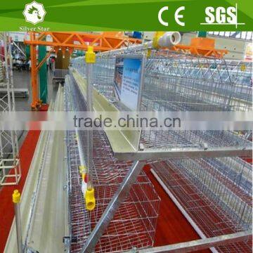 A type layer poultry cages with U steel frame