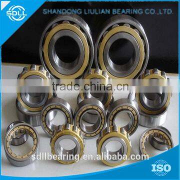 Durable Cheapest cylindrical roller bearing supplier NJ2214