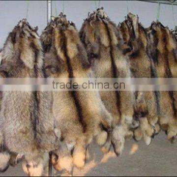 Wholesale High Quality Chinese Natural Raccoon Dog Fur With Good Prices