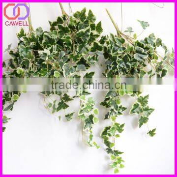 Important of Ornamental Plant photo-6