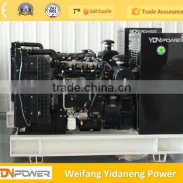Lovol 20kw Biogas Generator With CHP photo-2