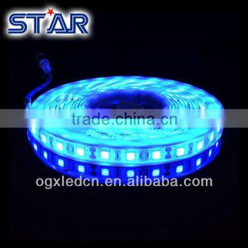 Epoxy waterproof IP65 Flexible LED Tape Light 5050 12v 300led Blue for outdoor Decoration