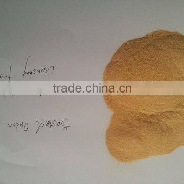 Toasted Onion Powder
