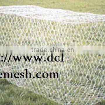 Gabion filling stones