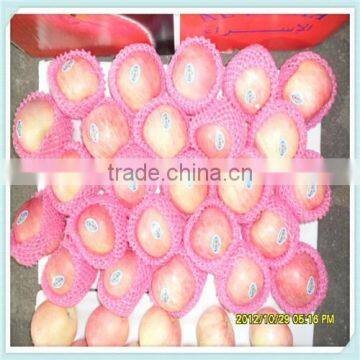 China Red Fresh Big Fuji Apple