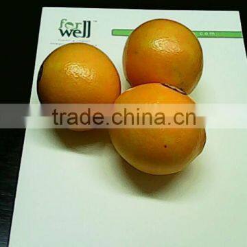 VALENCIA FRESH ORANGE FROM EGYPT