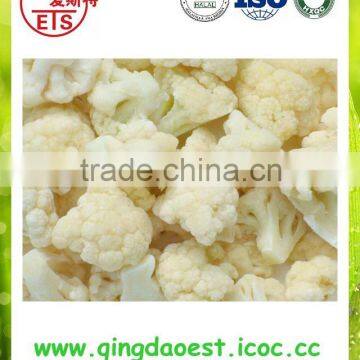 IQF Frozen Cauliflower Products