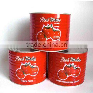 Canned Tomato Paste 28-30% Price Canned Tomato Paste photo-2