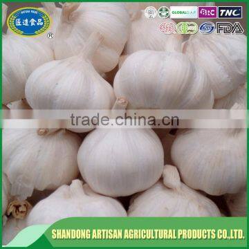 Bulk garlic for sale and export