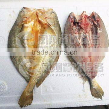 FGB-170 Fish Fillet Machine With High Efficiency photo-5