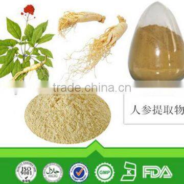 natural Ginseng root extract ISO, GMP, HACCP, KOSHER, HALAL certificated.