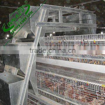 modern chicken cages