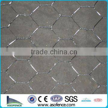 Hot Dip Galv Hex Wire Netting (Anping A.S.O Factory)