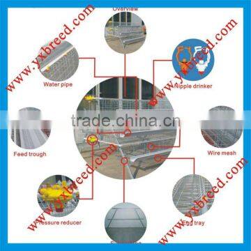 supplier of egg chicken layer cage