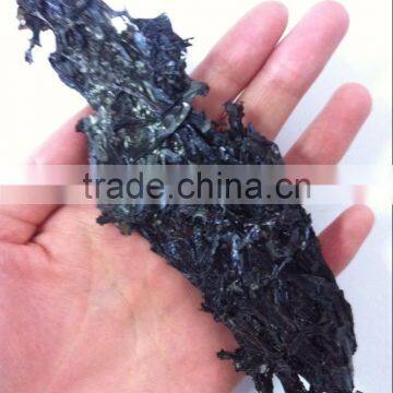 Healthy Laver Seaweed,sea Moss,sushi Wholesale photo-3