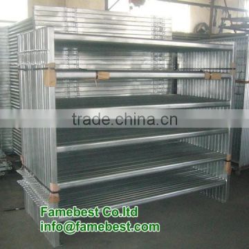 Oval galvanized pipe strong 40x80mm cattle panels