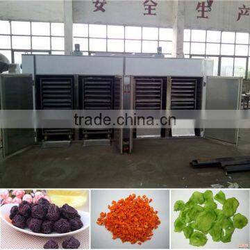 No damage apple chips dryer/apple slices drying oven with low temperature