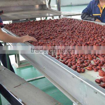Red Dates Multiple Layer Stainless Steel Conveyor Dryer photo-5