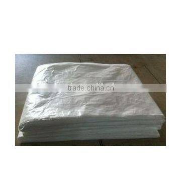 Biodegradable plastic drop sheet for painting