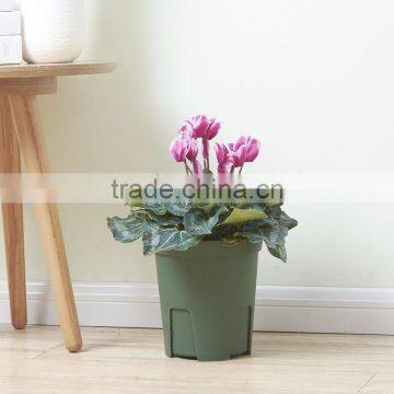 High Impact Plastic Flower Pot photo-4