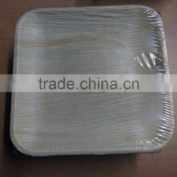 Bio Degradable Plates photo-3