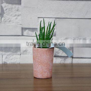 Plastic Succulent Plants Producer and Factory photo-4