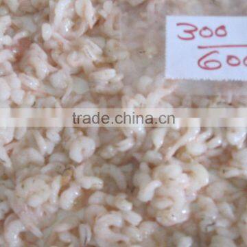 Shrimps PUD photo-6
