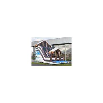 Full Print Commercial Inflatable Slide, Attractive Inflatable Playground Slide With House Design