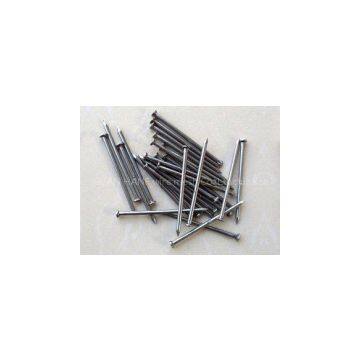 Common Nails/ wire nails/ roofing nails high quality and low cost