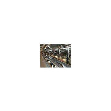 egg laying cages for sale_shandong tobetter the price is moderate
