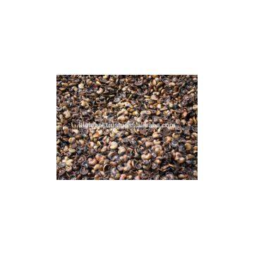 Sell Cashew Nut Shell