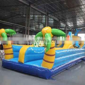 Dolphin Theme Inflatable Bungee Jumping Inflatable Game