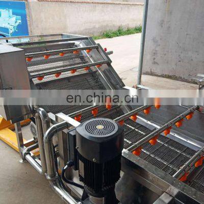 Fruit and Vegetable Washing and Drying Machine /automatic Vegetable Washing Machine /vegetable Bubble Washing Machine photo-2