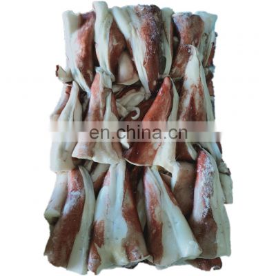 sea frozen giant squid tail indian ocean squid tip tail