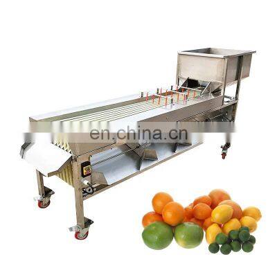 Fruit and vegetable sorting and grading machine,products sizer,fruit sorting and grading machine.