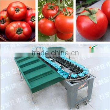 CE approved fruit sorting machine