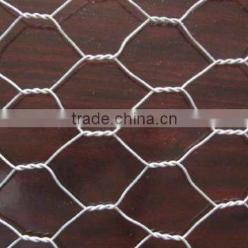 Nomal Twist Hexagonal Wire Netting