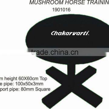 MUSHROOM HORSE TRAINING