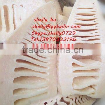 Canned Bamboo Shoot With Water ,2950g Half Bamboo Shoot photo-2