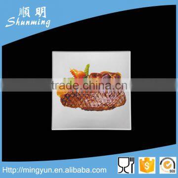 12 inch square plastic plate