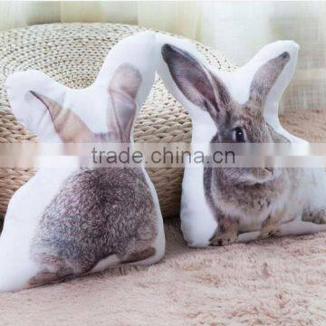 Customized animal 3D digital printing pillow case and shaped cushion cover