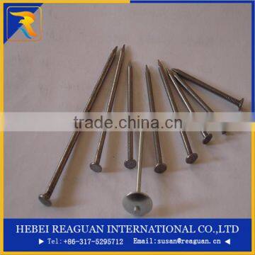 Best selling stiff stock ring shank no point 2-1/4" pallet nail